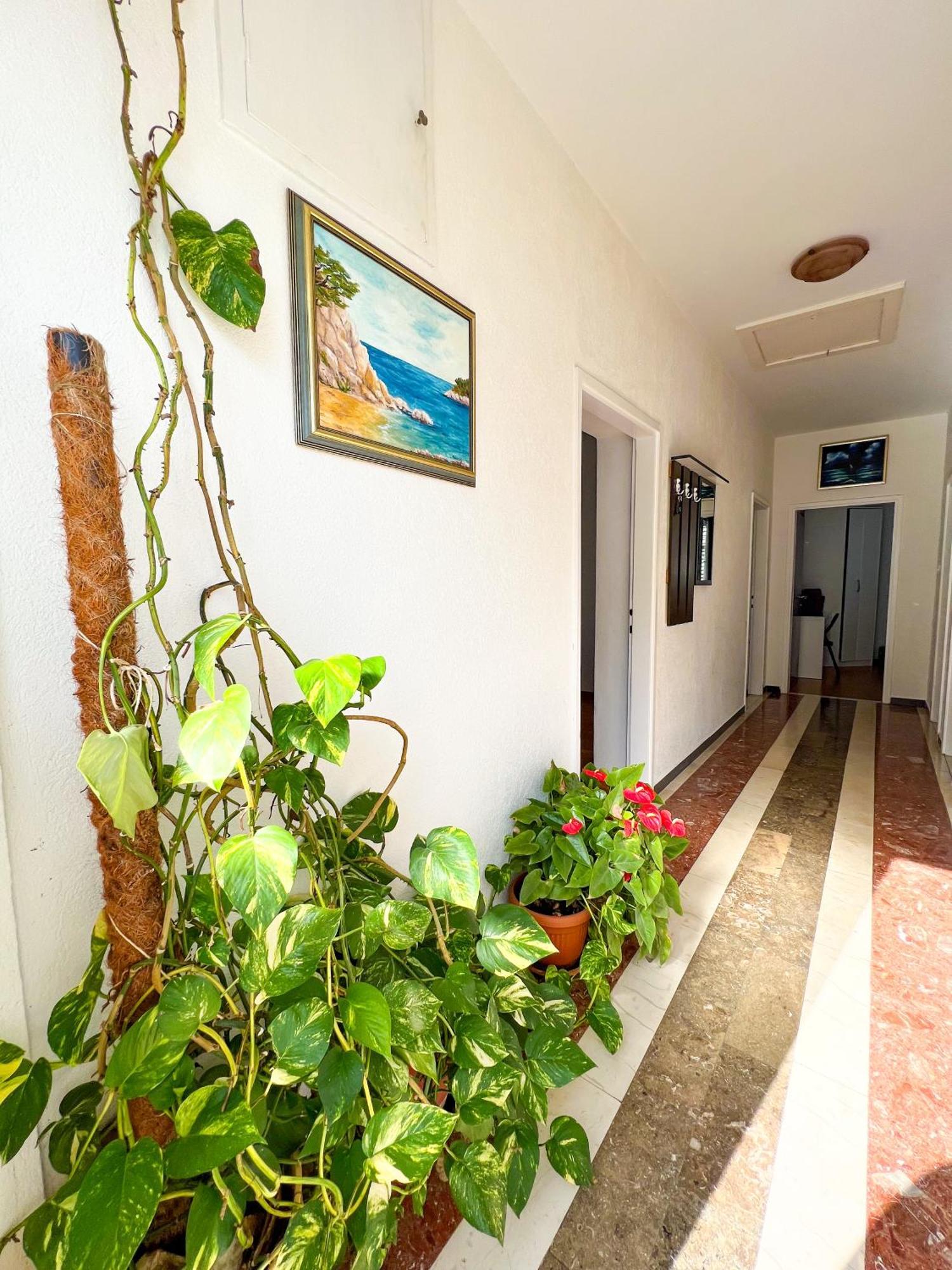 Bava Apartment Dubrovnik